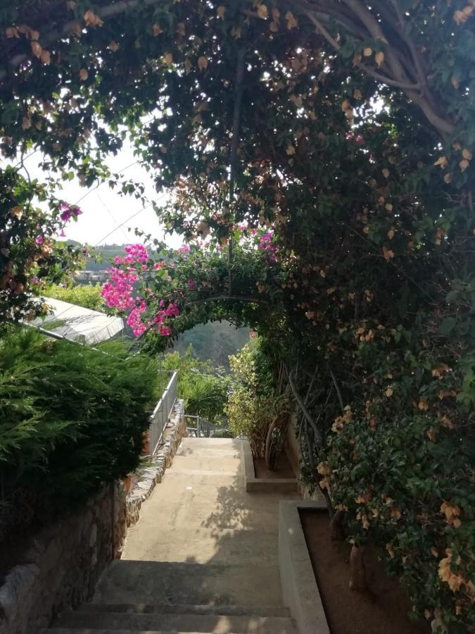 Villa Del Conte Drapia Esterno foto